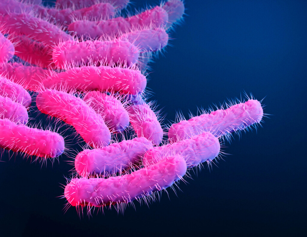 Cdc Issues Warning Over An Increase Of Drug Resistant Bacteria