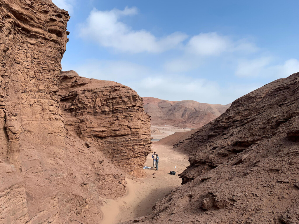 Robots May Have A Tough Time Identifying Evidence Of Life On Mars
