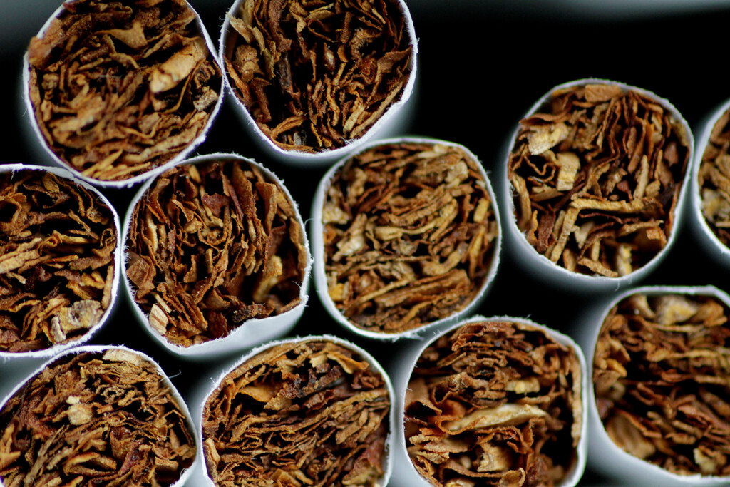 Most Us Adults Support Banning Sales Of All Tobacco Products, Cdc Survey Says