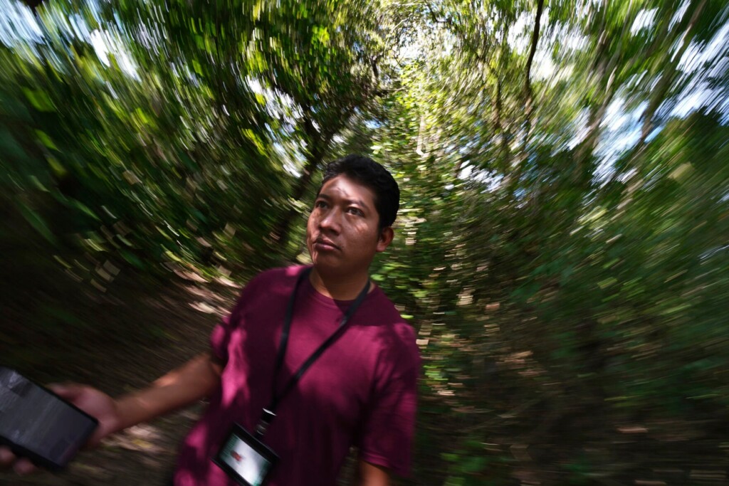 Worries Abound That Mexico’s Maya Train Will Destroy Jungle