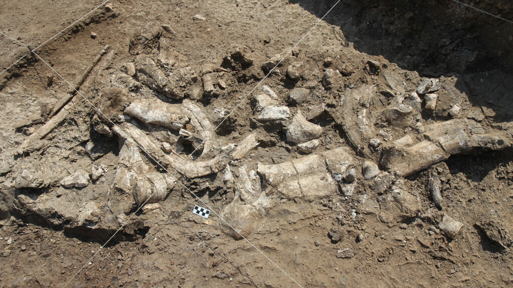 Unusual Discoveries Shake Up What We Know About Ancient Diets