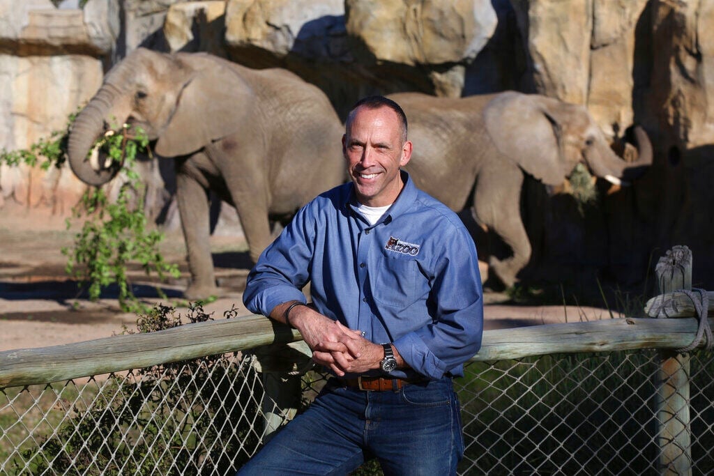<p>Jon Forrest Dohlin, the Chief Executive Officer and Fresno Chaffee Zoo Director, is shown near the open roaming area for two of the zoo's three elephants, Nolwazi and Amahle, in Fresno, Calif., Jan. 30, 2023.</p>
