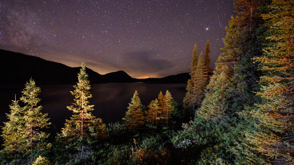 Boreal Forests Could Be A Planet Warming ‘time Bomb’ As Wildfires Expand, Says New Study