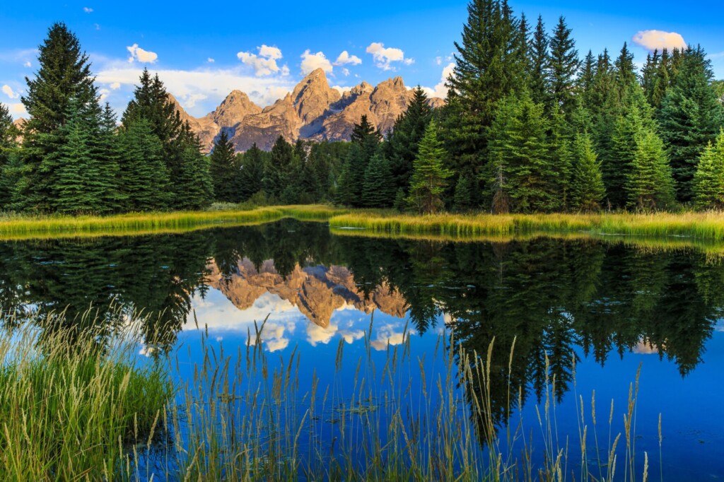 Family Travel 5: Where To Find The Best Fly Fishing In America