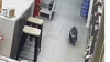 Curious Koala Explores Gas Station In Australia