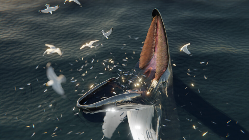 Sea Monsters? This Bizarre Whale Feeding Technique May Explain Some Ancient Folklore