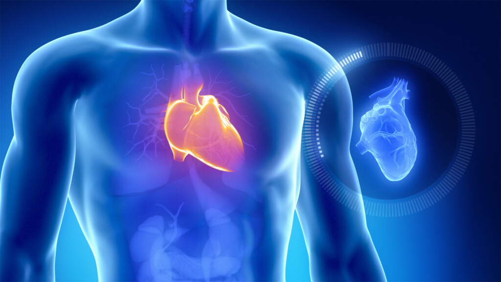 Elite Athletes With Genetic Heart Disease Can Safely Return To Play With Diagnosis And Treatment, Early Study Suggests