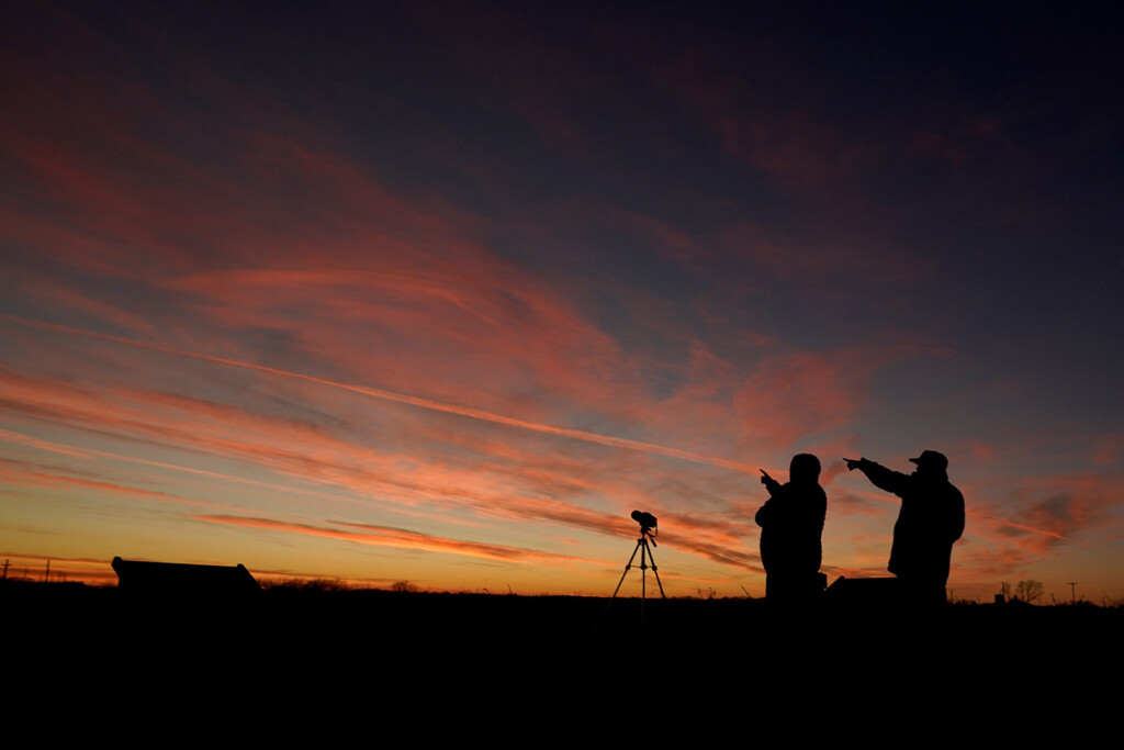 Five Planets Will Line Up In The Night Sky. Here’s How To See The Parade