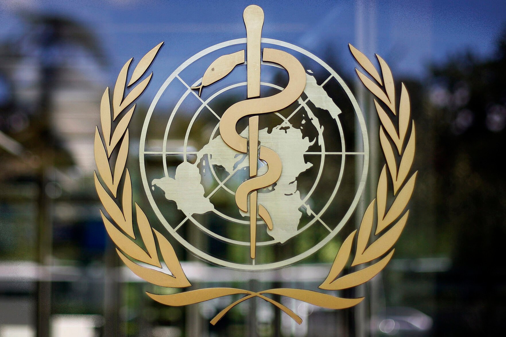 <p>FILE - In this June 11, 2009, file photo, the logo of the World Health Organization is seen at the WHO headquarters in Geneva, Switzerland. On Friday, March 3, 2023, The Associated Press reported on stories circulating online incorrectly claiming a legally-binding World Health Organization “pandemic treaty” will give the organization the authority to control U.S. policies during a pandemic, including those on vaccines, lockdowns, school closures and more. (AP Photo/Anja Niedringhaus, File)</p>