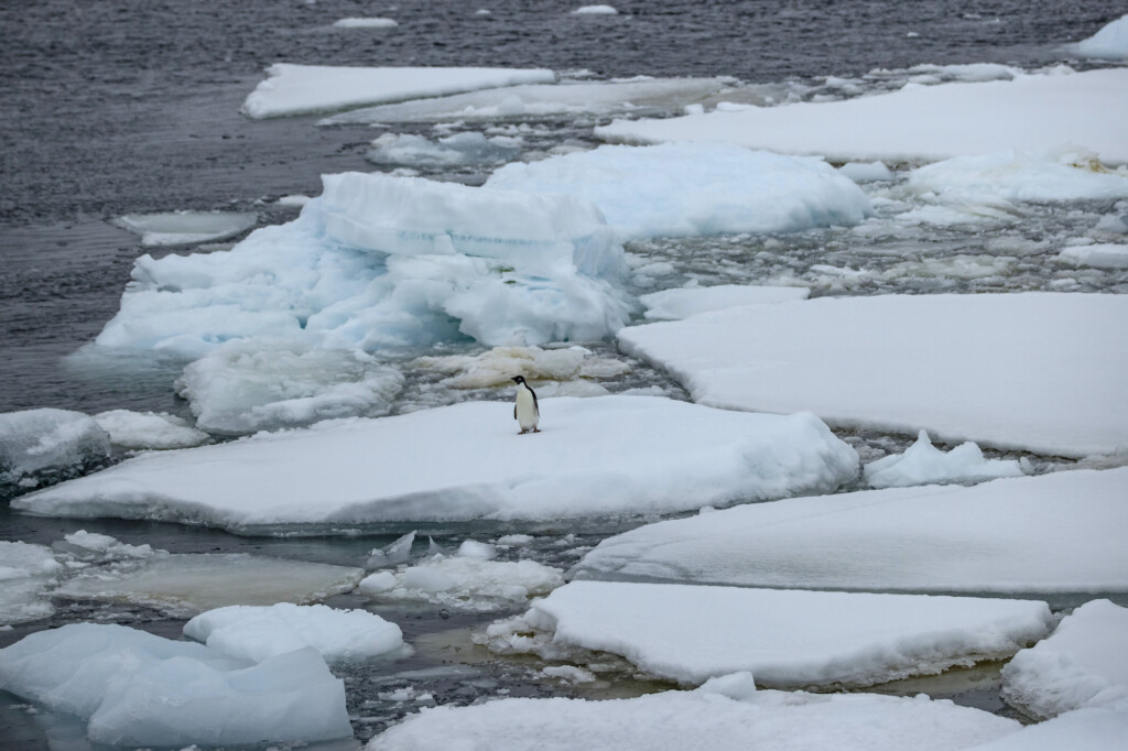 Crucial Antarctic Ocean Circulation Heading For Collapse If Planet Warming Pollution Remains High, Scientists Warn