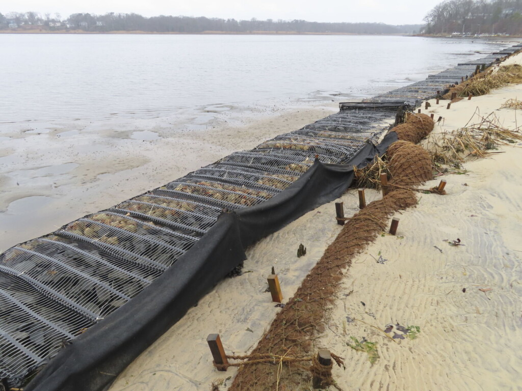 How Coconuts Protect The Jersey Shore, Other Eroding Coasts