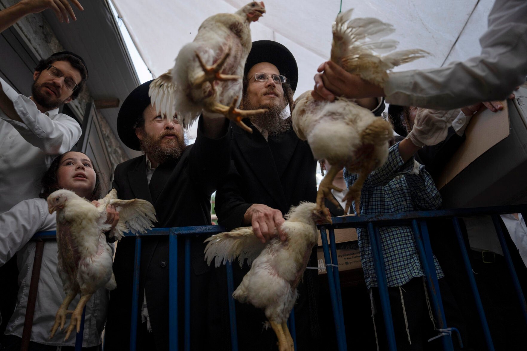 <p>Ultra-Orthodox Jewish men buy chickens Oct. 3 in Bnei Brak near Tel Aviv, Israel, before the Day of Atonement, Yom Kippur, the holiest day in the Jewish year. Yom Kippur involves a 25-hour fasting period.</p>