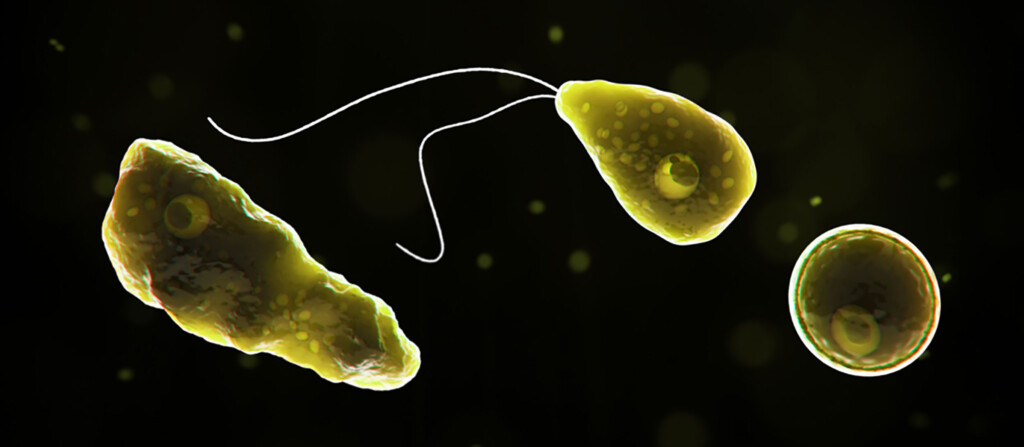 Person In Florida Dies After Brain Eating Amoeba Infection, Possibly Due To Sinus Rinse With Tap Water, Health Officials Warn