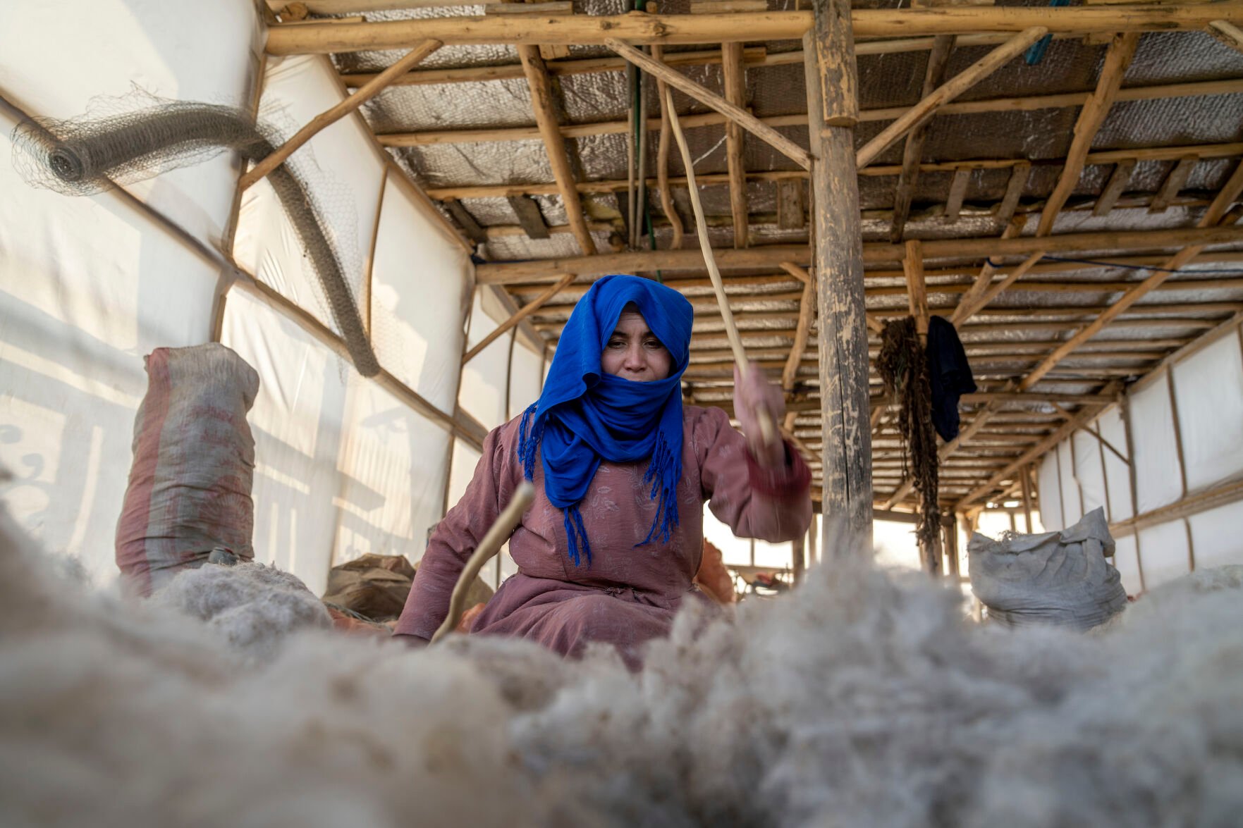 <p>An Afghan woman cleans wools Sunday for making carpets at a traditional carpet factory in Kabul, Afghanistan.</p>