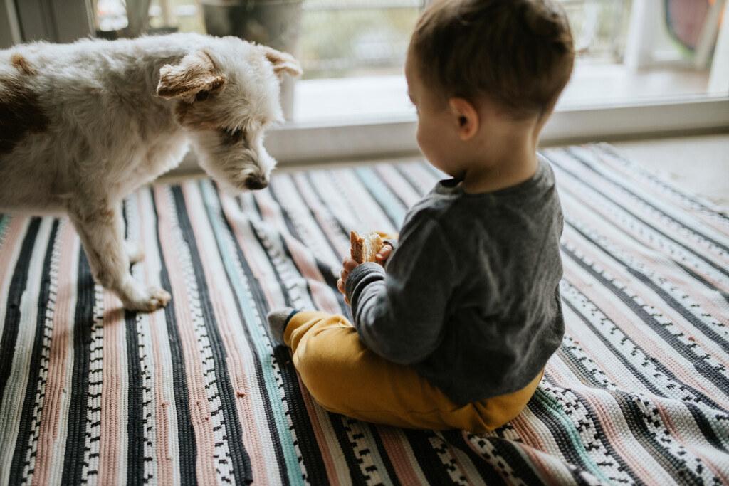 Pet Cats And Dogs May Help Protect Infants From Food Allergies, Study Suggests