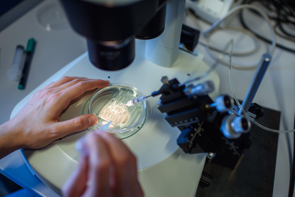 How Human Gene Editing Is Moving On After The Crispr Baby Scandal