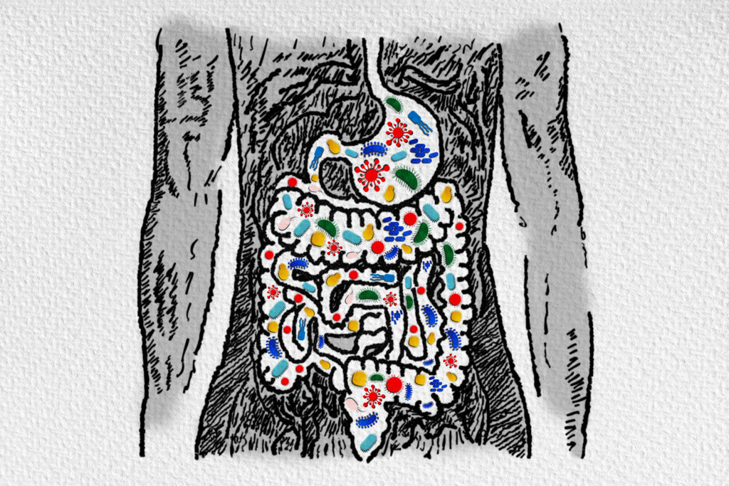On Nutrition: The Gut Brain Connection