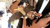 New Mexico Engineers Turn Taxidermy Birds Into Drones To Study Flight