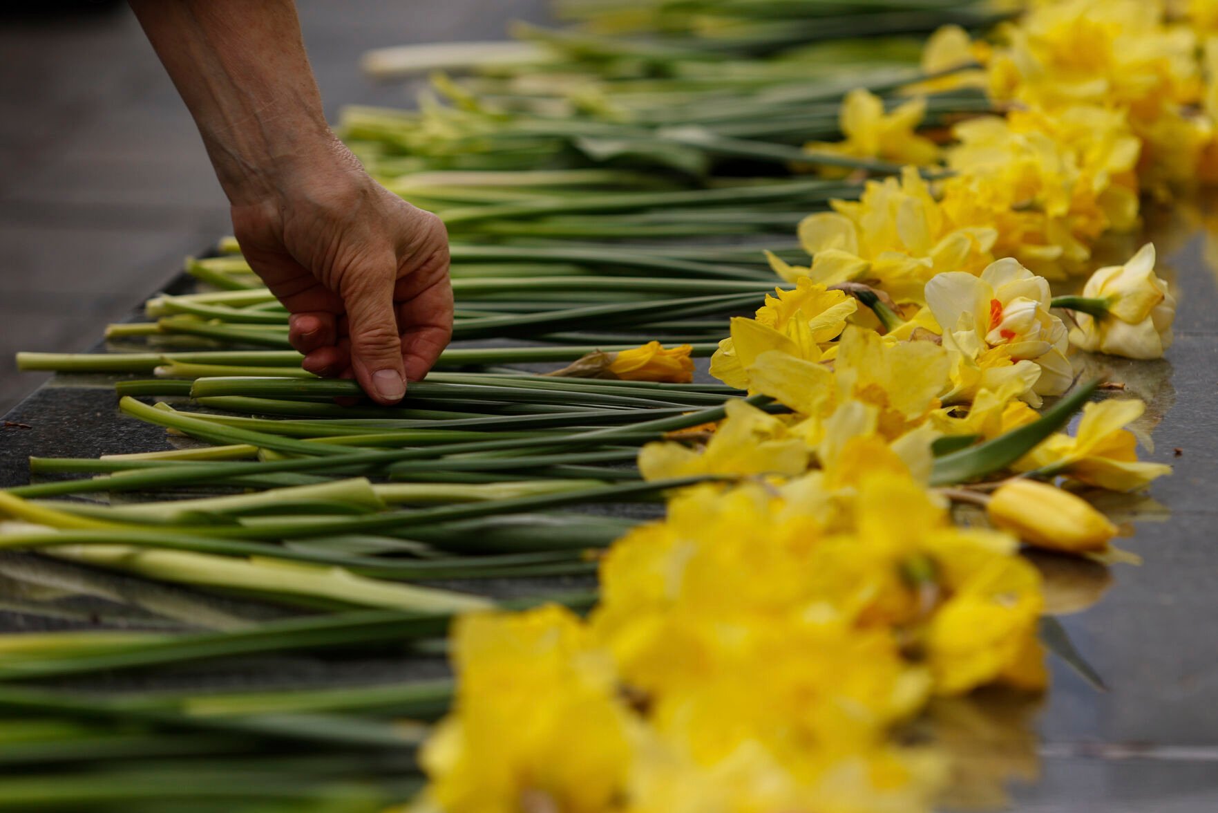 <p>A woman places a yellow tulip at 'The Umschlagplatz' monument during personal unofficial observances marking the 80th anniversary of the Warsaw Ghetto Uprising in Warsaw, Poland, Wednesday, April 19, 2023. (AP Photo/Michal Dyjuk)</p>