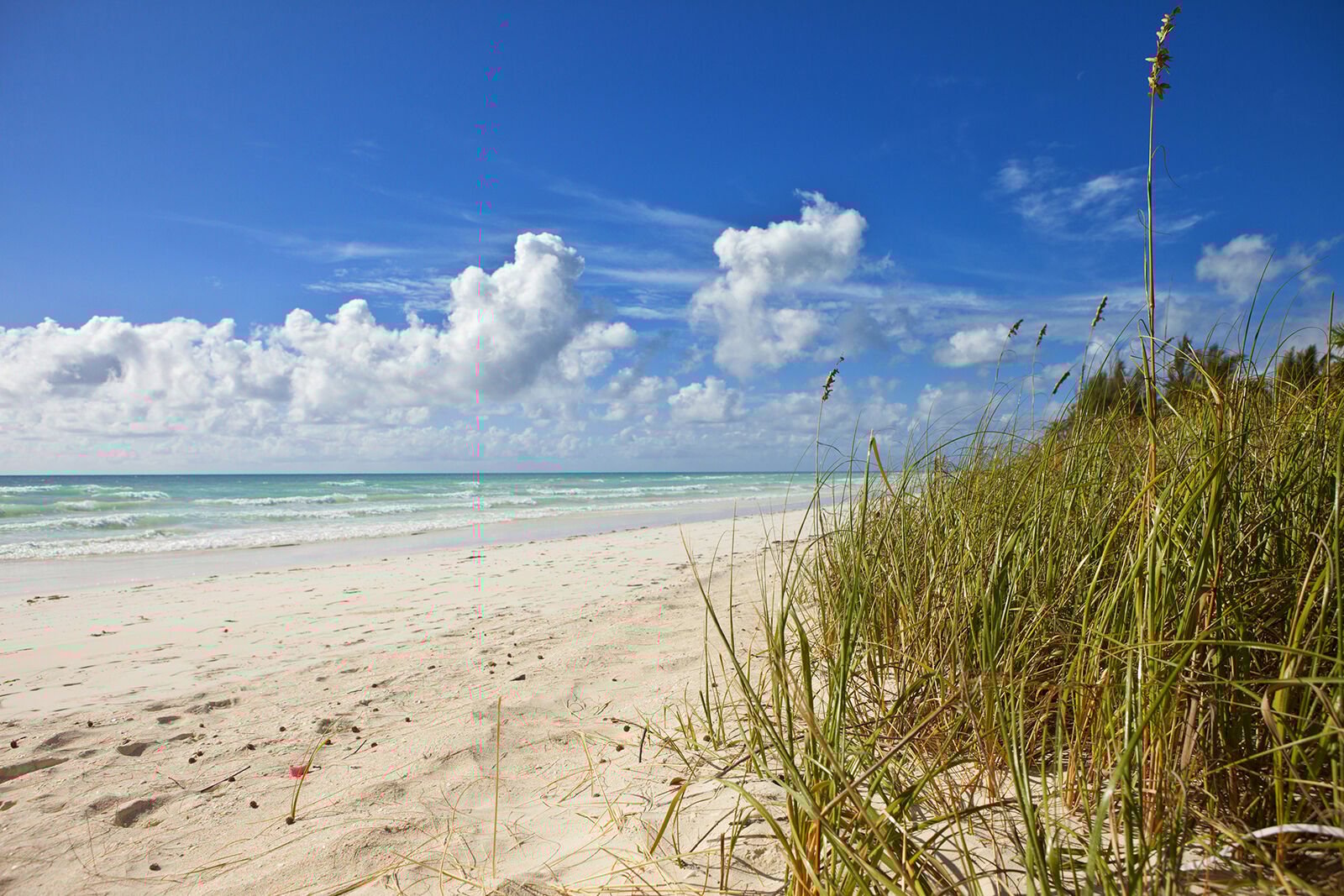 <p>The number of tourists flocking to Jamaica's sun-drenched beaches soared almost 100% in the first three months of the year.</p>