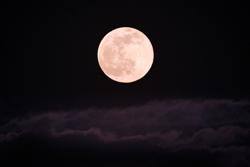 April’s Full Pink Moon Will Rise This Week