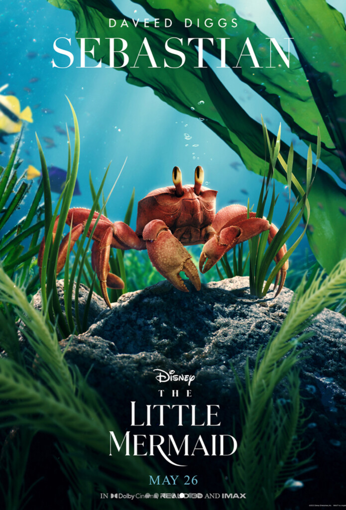 Flounder’s Live Action ‘little Mermaid’ Look May Be Just A Bit Too Real
