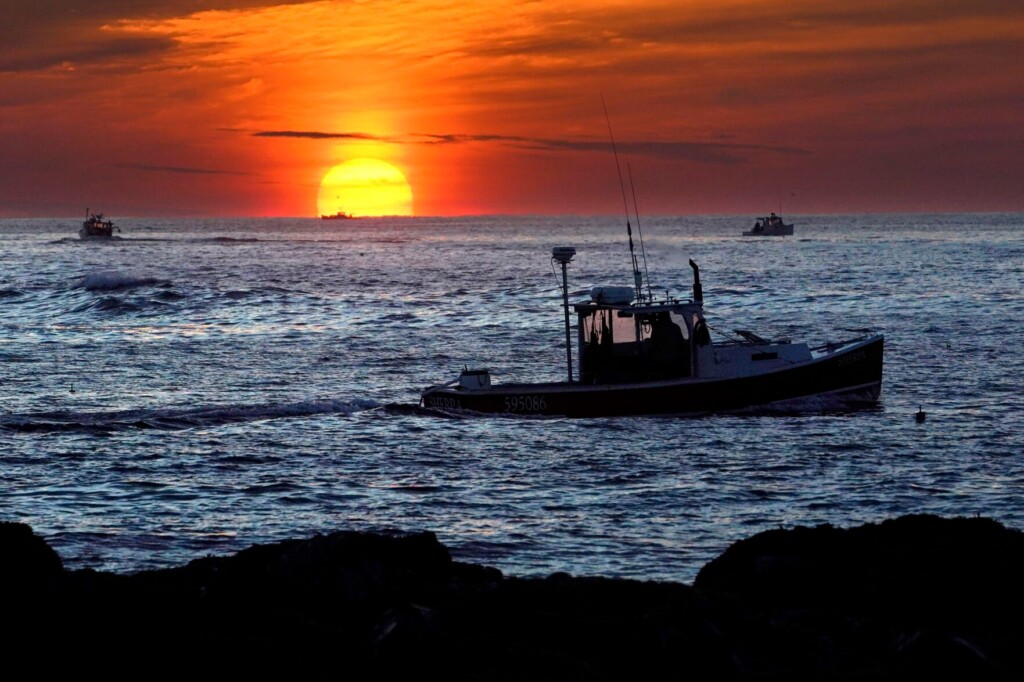 Fishing Regulators Need More Transparency, Ocean Groups Say