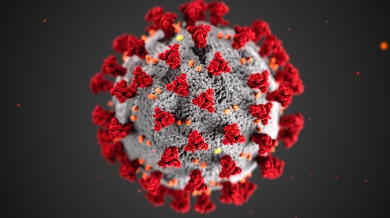 Who Watching Xbb.1.16, Dubbed Arcturus On Social Media, As A Coronavirus Variant Of Interest