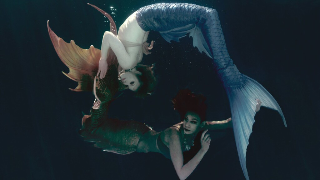 ‘merpeople’ Goes Fins In With Mermaid Enthusiasts