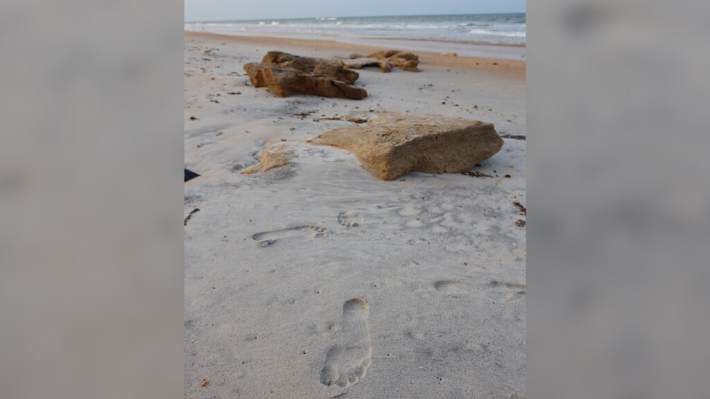 Human Dna Can Now Be Pulled From Thin Air Or A Footprint On The Beach. Here’s What That Could Mean