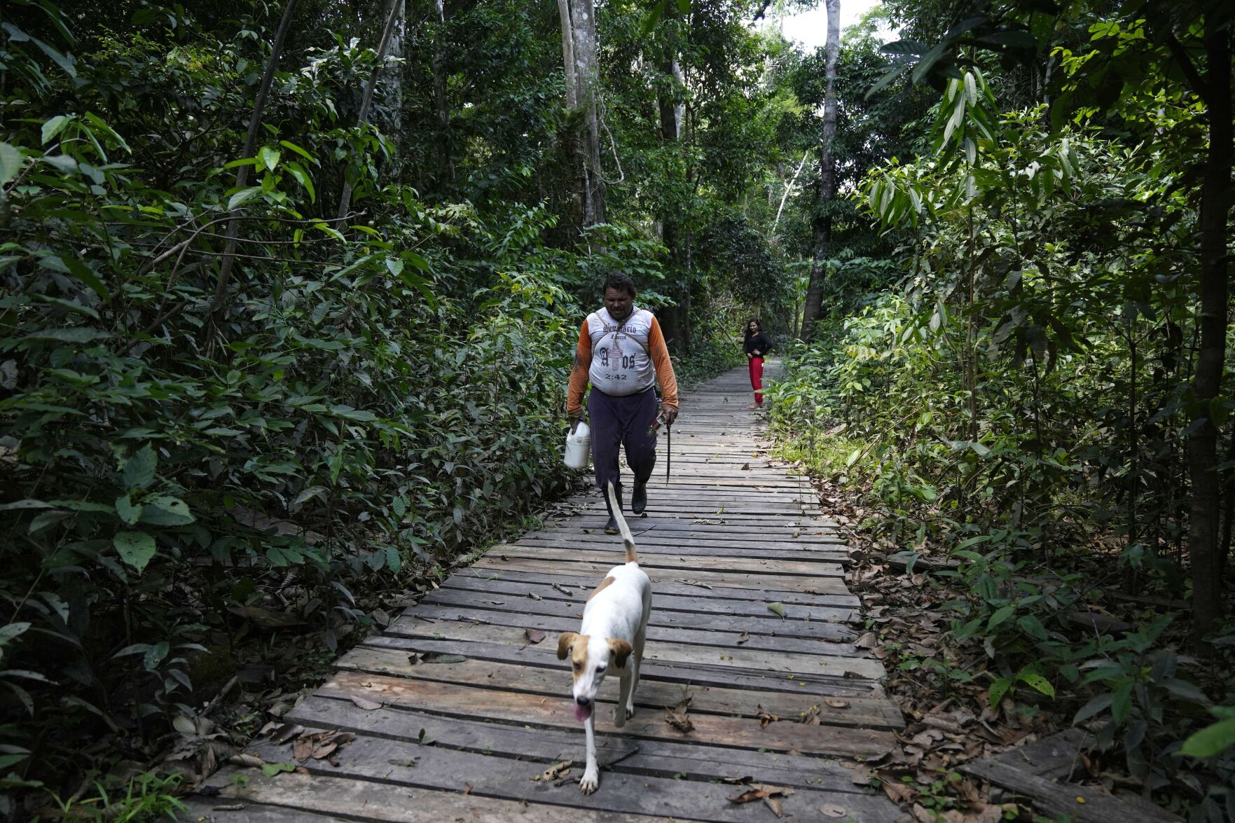 <p>A man trails a dog in Lago Serrado community, near Carauari, Brazil, on Sept. 1, 2022. </p>