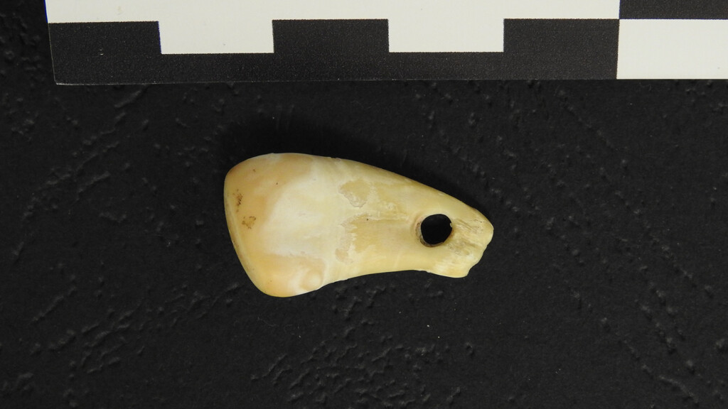 Scientists Used Dna To Unlock Who Wore A 25,000 Year Old Pendant