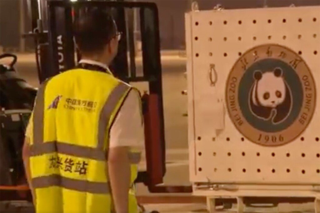 Giant Panda Ya Ya’s Arrival At Beijing Zoo Sparks Fresh Outpouring Of Online Pride