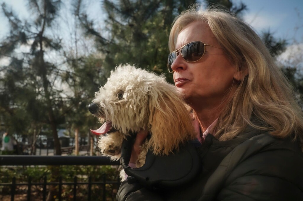 Scooby Doobie Don’t: Discarded Joints Pose Hazards For Dogs