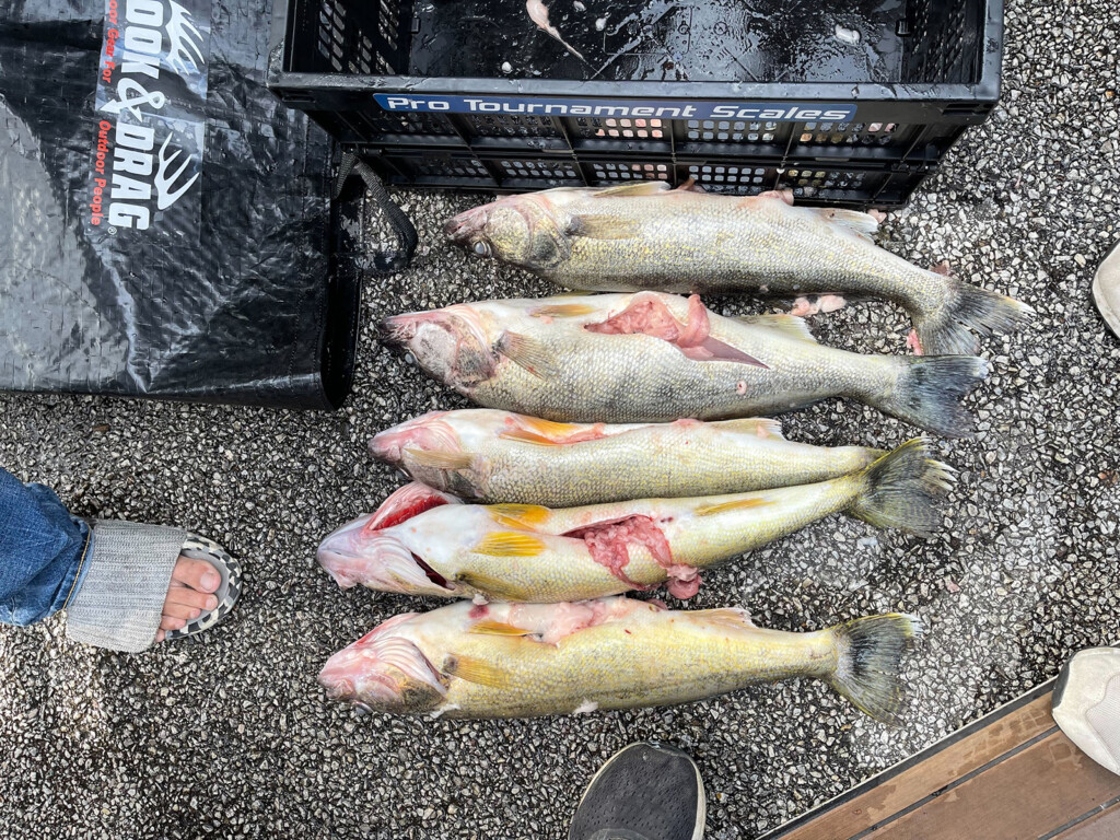 Two Fishermen Accused Of Stuffing Fish With Weights During A Tournament Sentenced To Jail