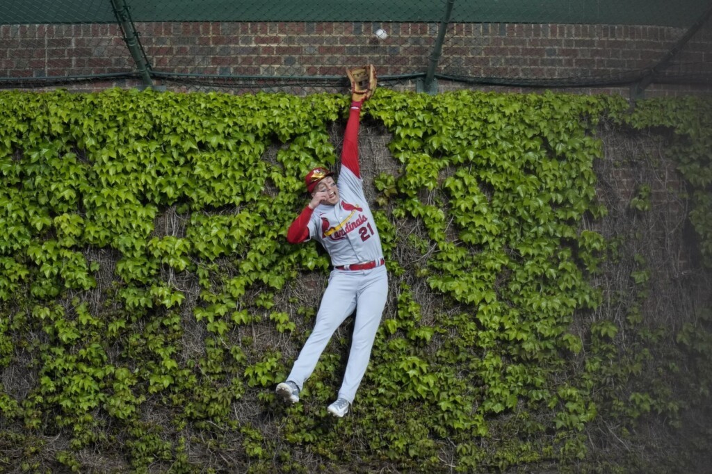 Last Place Cardinals Trying To Find Their Way