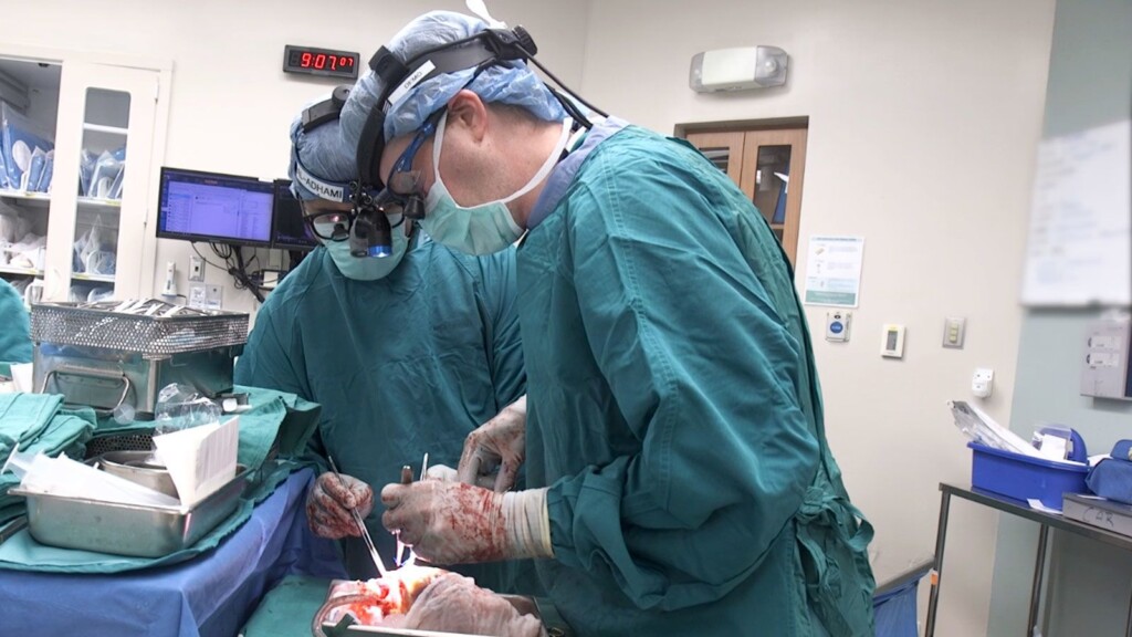 Reanimated Hearts Work As Well For Transplants And Could Make More Organs Available For Patients In Need, Study Finds