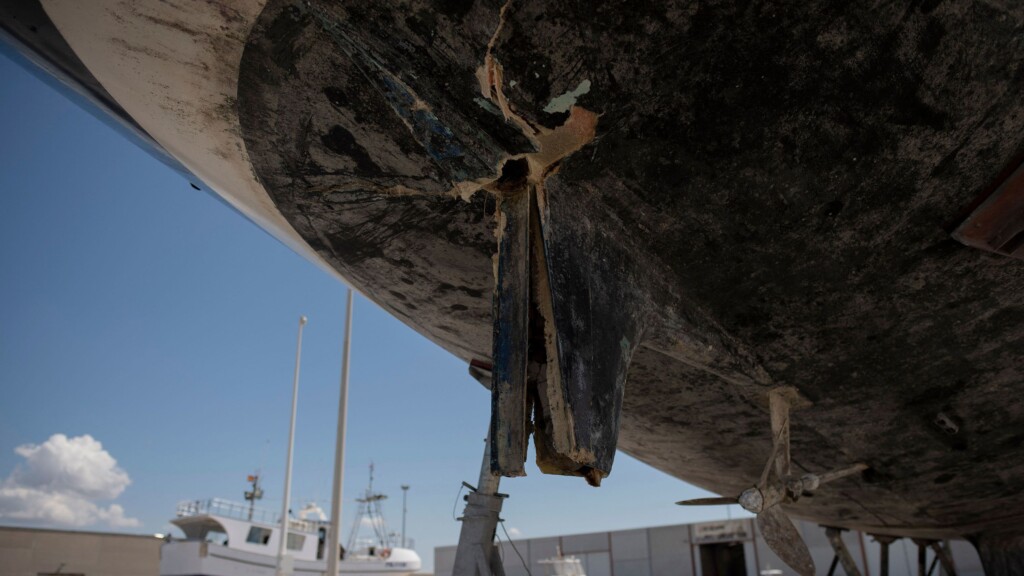 Why Killer Whales Won’t Stop Ramming Boats In Spain