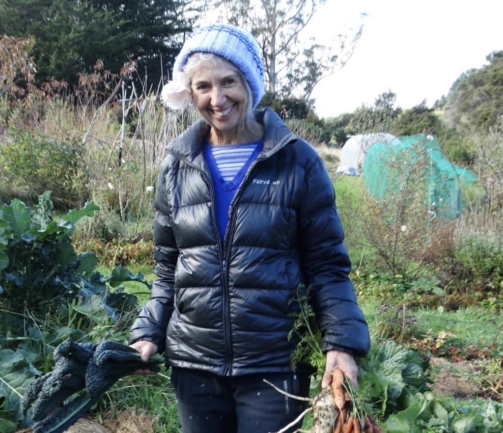 Climate Activist Faces 10 Years In Jail For A Fake Letter ‘canceling’ An Oil Industry Conference