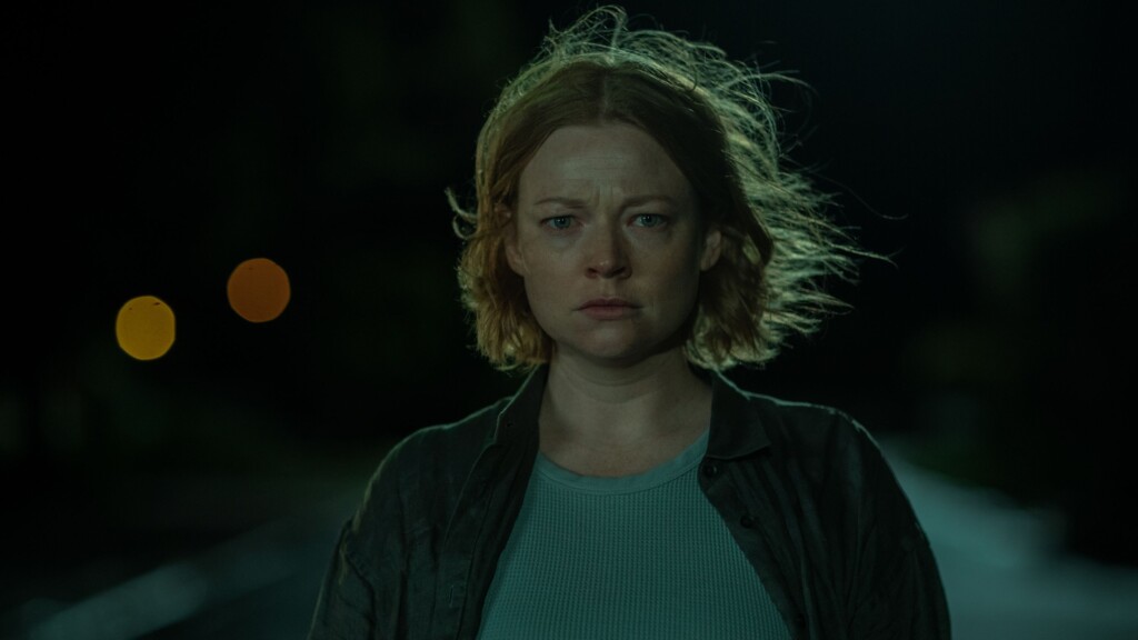 ‘succession’ Stars Get A Split Decision In ‘run Rabbit Run’ And ‘prisoner’s Daughter’