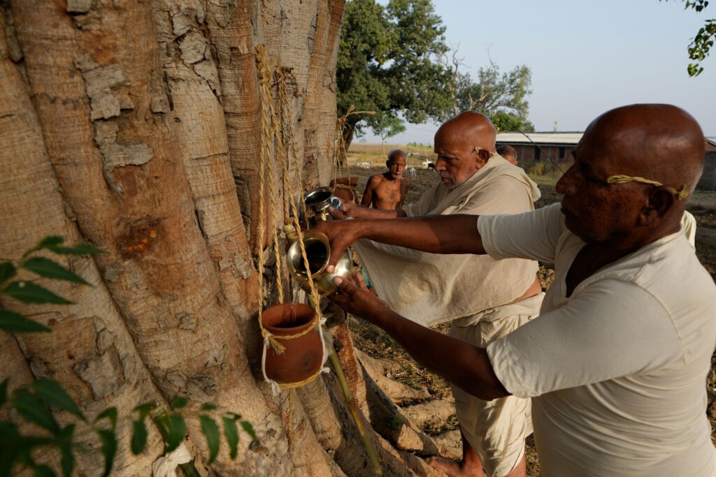 Dozens Die In Single District In Northern India Amid Severe Heatwave