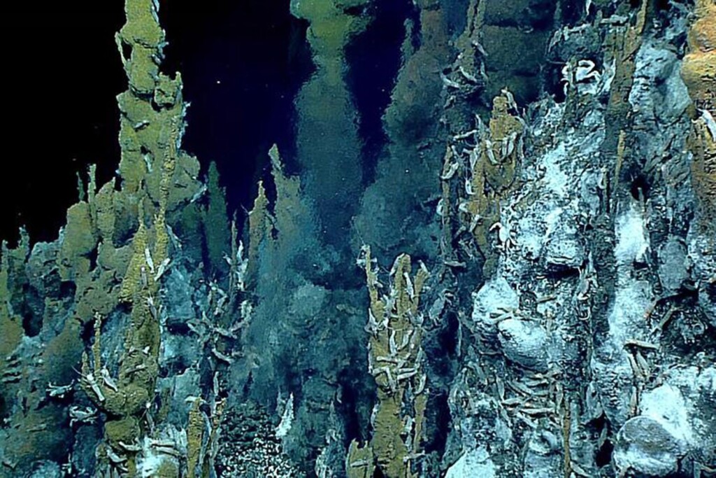 6 Incredible Facts About The Challenger Deep, The Deepest Point On Earth