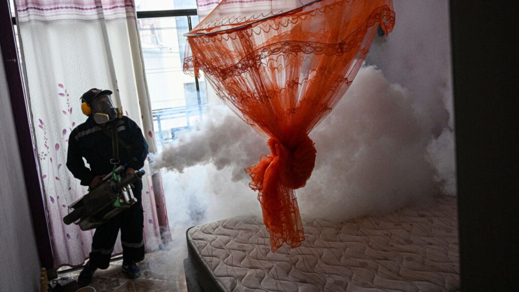 The Mosquito Era: As The World Warms, These Insects Are Thriving – And Bringing Disease
