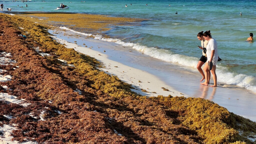What You Should Know About Flesh Eating Bacteria On Beaches
