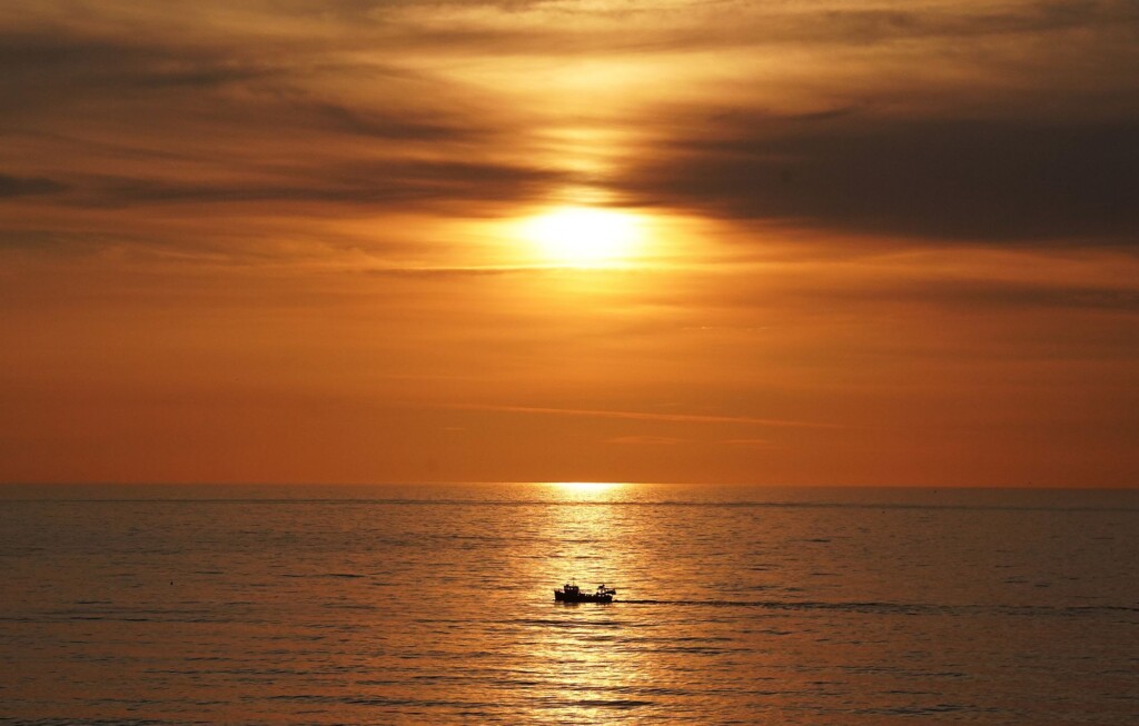 The North Atlantic Is Experiencing A ‘totally Unprecedented’ Marine Heat Wave