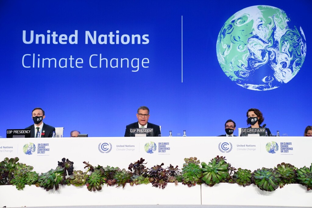Rainforest Destruction Soared In 2022 Despite Global Pledges To Halt Deforestation, New Report Finds