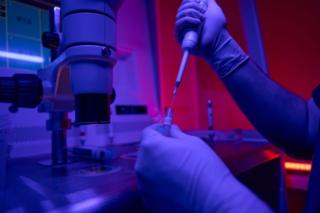 Scientists Report Creation Of First Human Synthetic Model Embryos