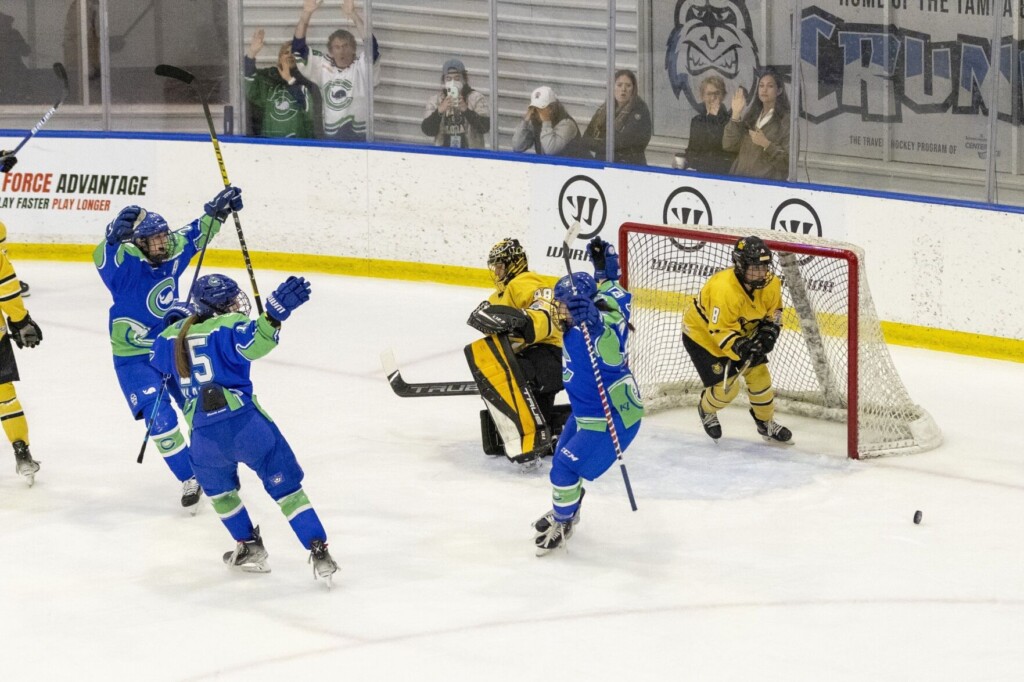 New Pro Women’s Hockey League To Launch In January