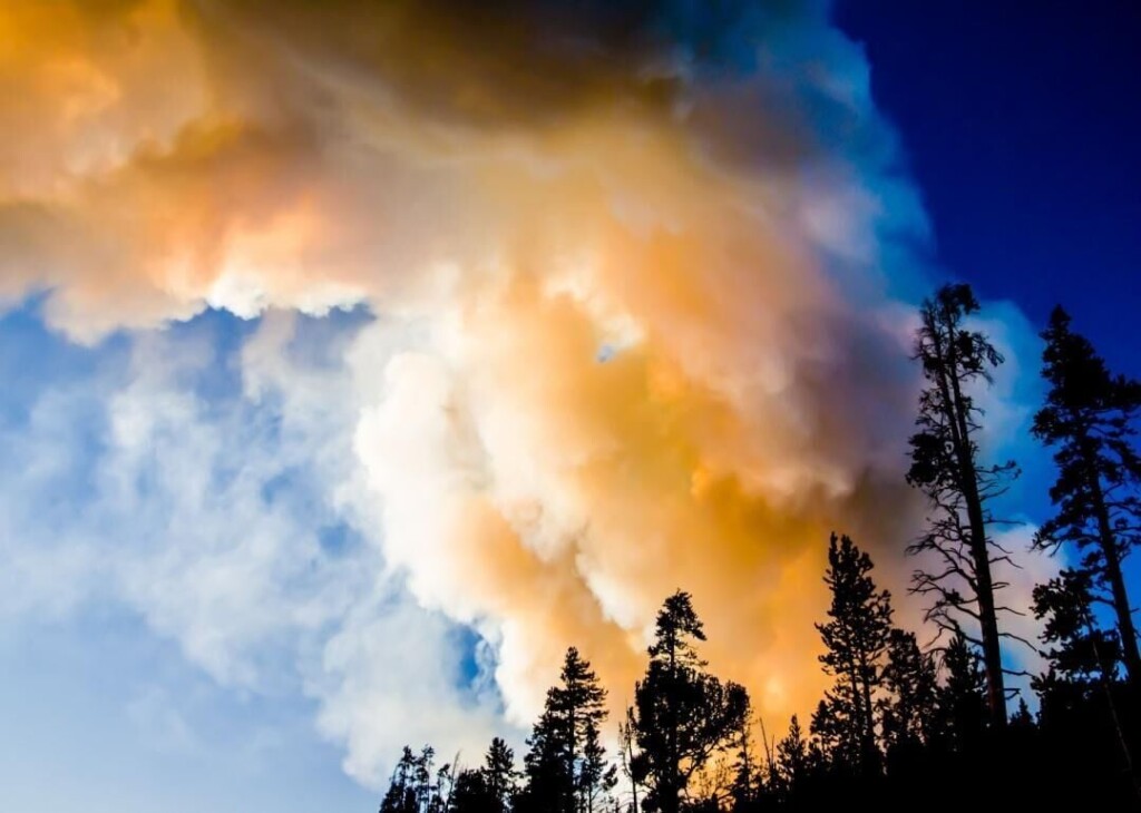 How Wildfires Have Worsened In Recent Decades