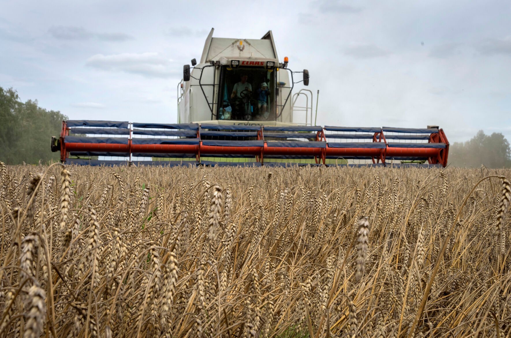 <p>FILE - A harvester collects wheat in the village of Zghurivka, Ukraine, on Aug. 9, 2022. Russia has suspended on Monday July 17, 2023 a wartime deal brokered by the U.N. and Turkey that was designed to move food from Ukraine to parts of the world where millions are going hungry. (AP Photo/Efrem Lukatsky, File)</p>